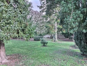 Vista al jardín