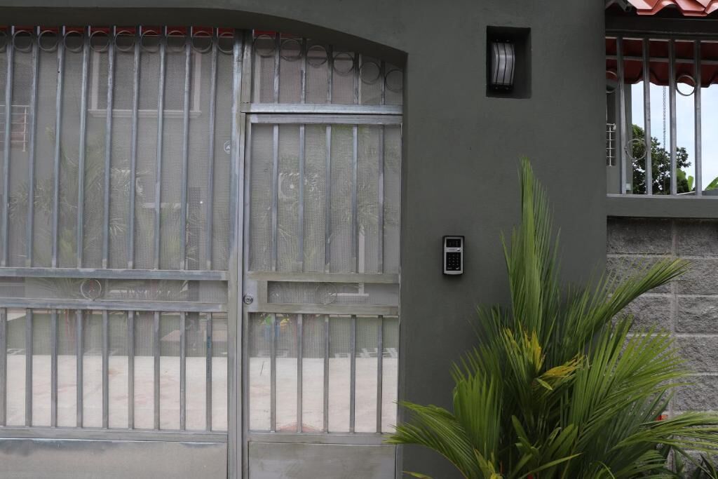 A grey building with a metal gate and a small potted plant.
