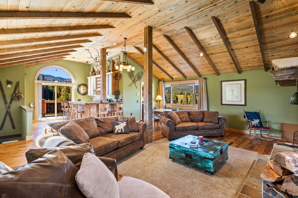 TV, fireplace, DVD player, books