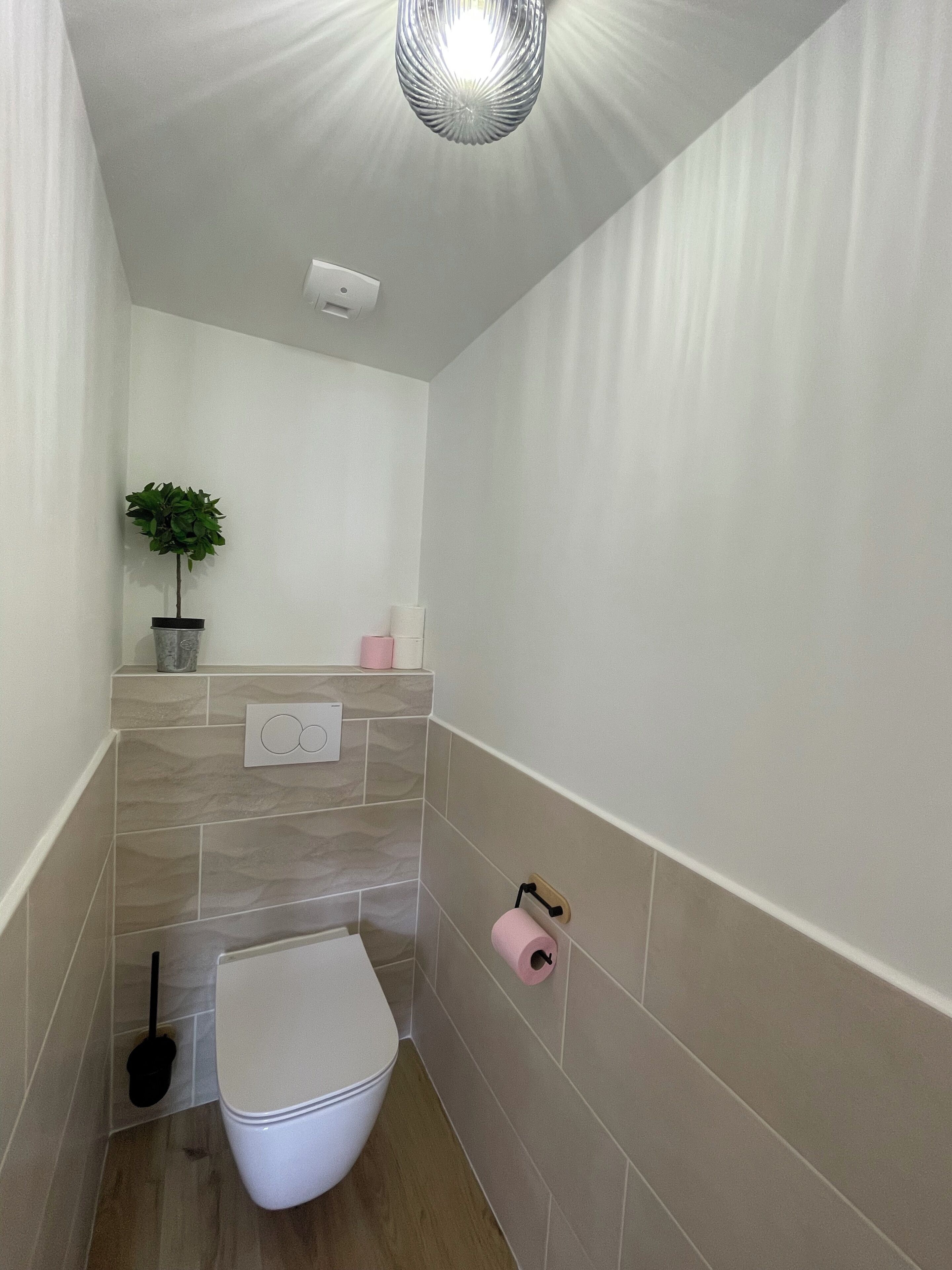 Une petite salle de bain moderne, équipée de toilettes, d’un lavabo, d’un miroir et d’une plante en pot.
