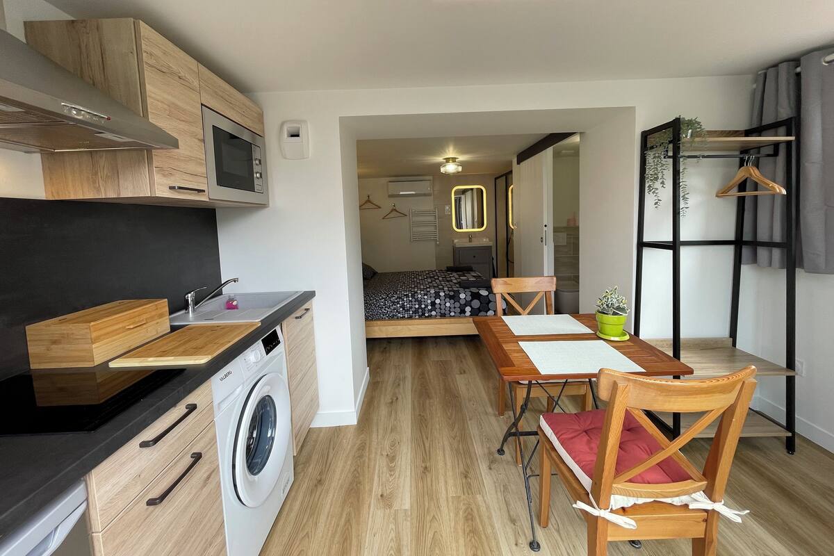 A compact apartment with a kitchenette, a bed with a patterned bedspread, a dining area with a table and chairs, and a small potted plant.