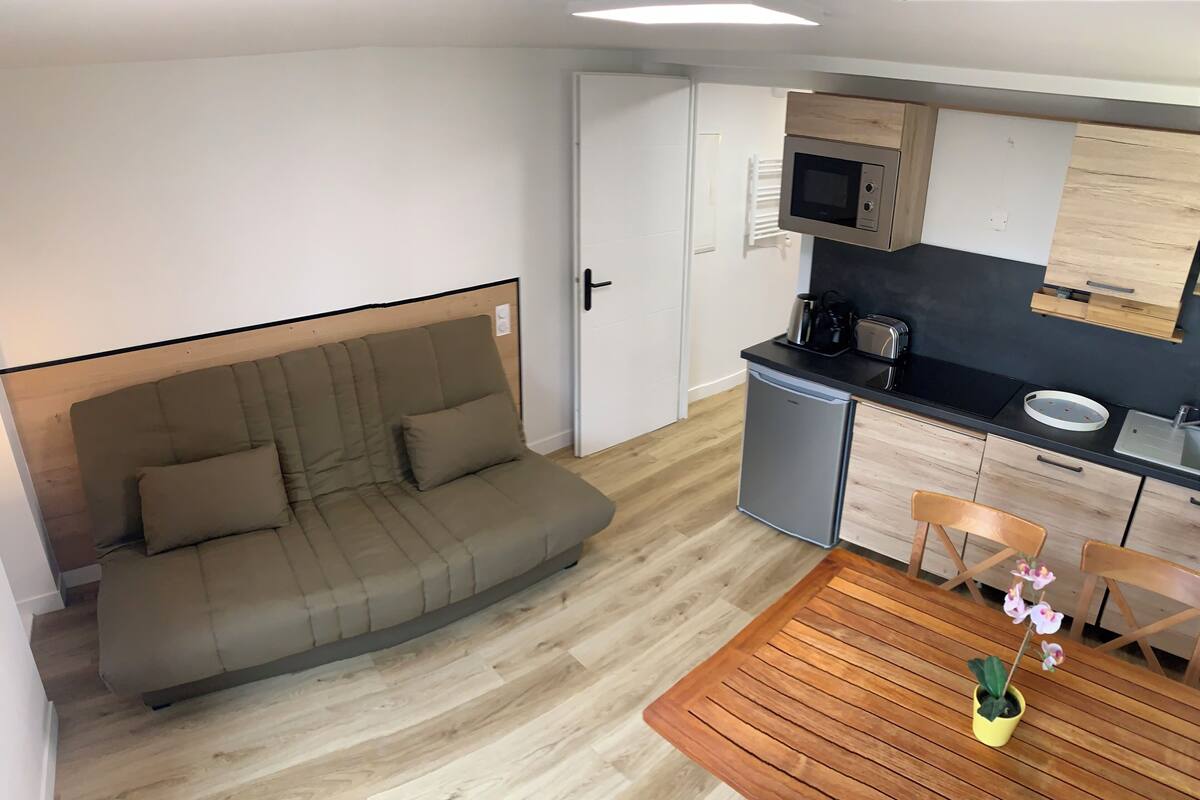 A compact living space with a sofa, a small kitchenette, a dining table with chairs, and a potted orchid.