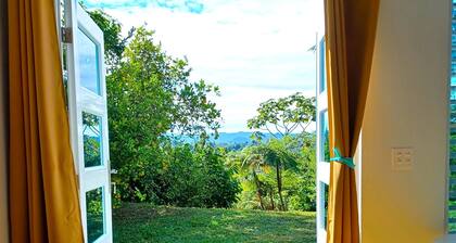 Mini-Suite on Cocoa Farm