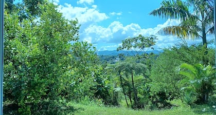 Mini-Suite on Cocoa Farm