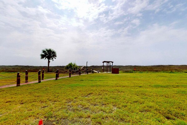 A grassy field with a palm tree, a wooden fence, and a small structure. - Walk to Sandfest, Shared Pools, Boardwalk to the Beach (Port Aransas)