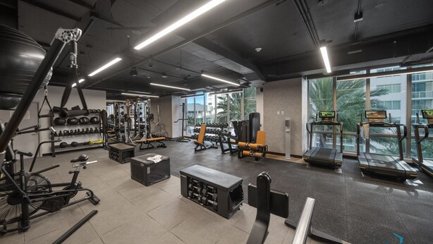 Ett gym med olika typer av träningsutrustning, stora fönster och utsikt över palmer.