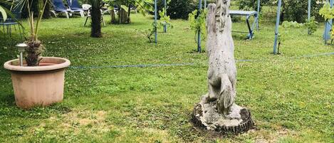 Terrein van de accommodatie