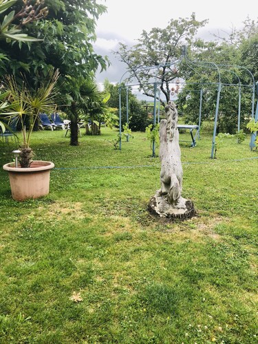 Appartement au Calme au Mili des Palmiers et des Fleurs