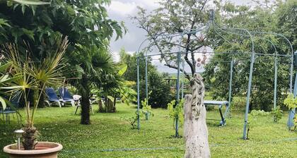 Appartement au Calme au Mili des Palmiers et des Fleurs