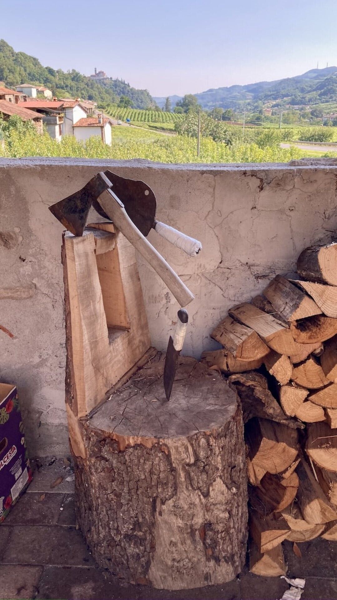 Un décor extérieur rustique, avec un outil pour fendre le bois et une pile de bûches, le tout se détachant sur un paysage rural composé de maisons et de collines.