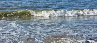 Modernes, Junges Chalet mit Terrasse. Haustierfreundlich!