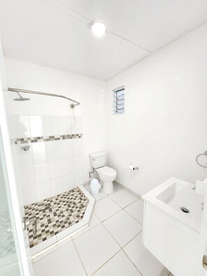Une salle de bain avec douche, toilettes et lavabo.