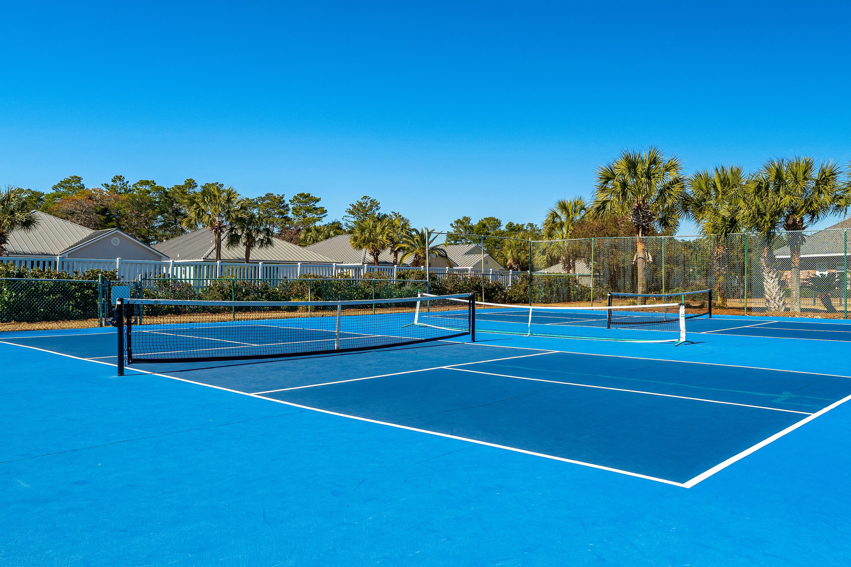 Una cancha de tenis con red, rodeada de palmeras y casas.