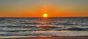 Come get lost in Southwest Florida's paradise!
