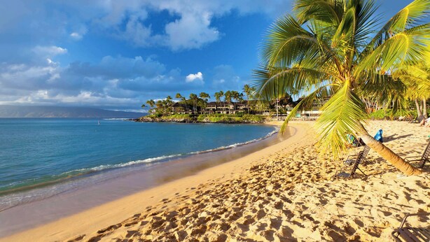 A beach with palm trees, a clear sky, and a resort building in the background. - Snorkel with sea turtles! Ocean Front & Pool! (Lahaina)