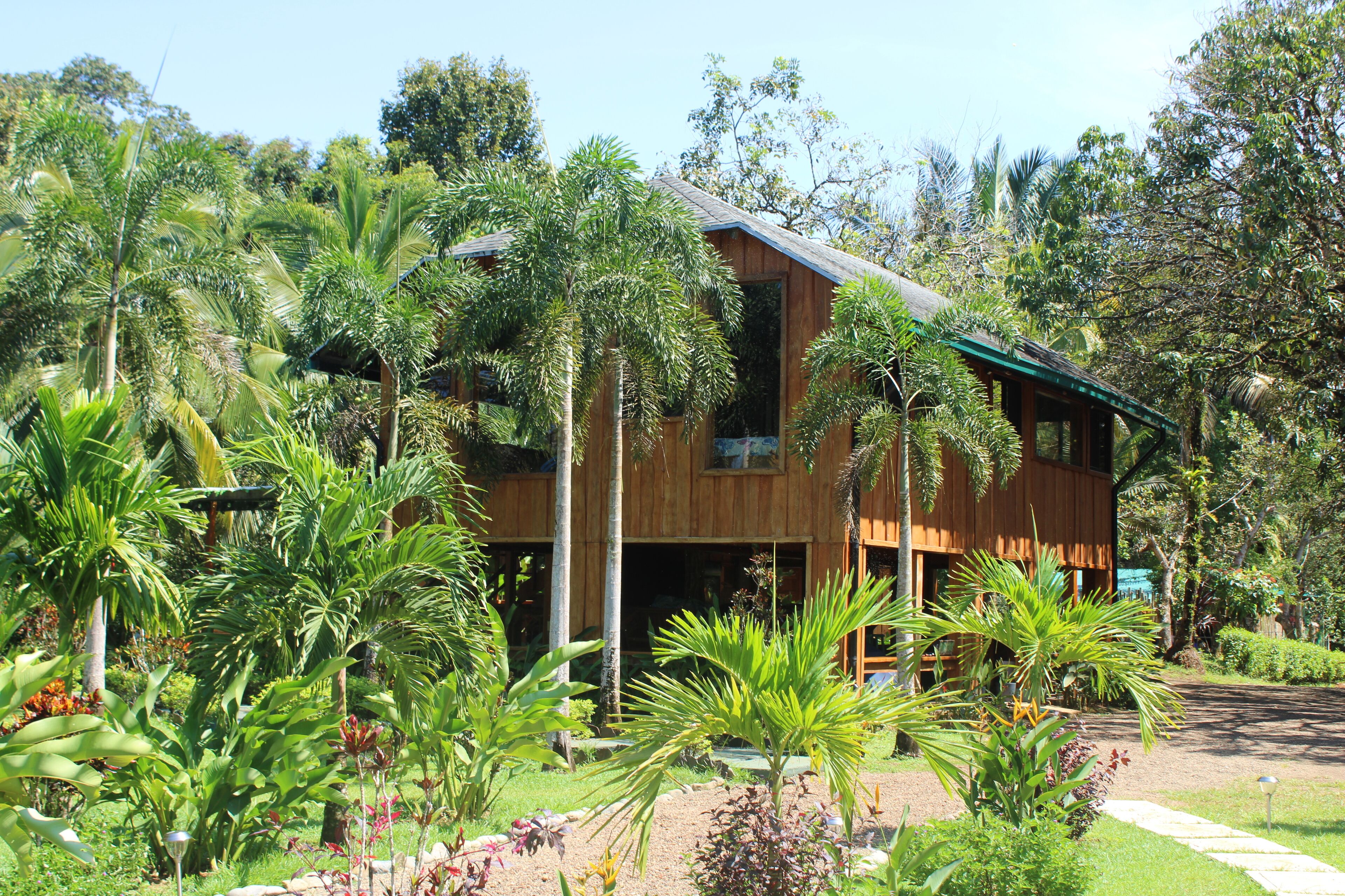A wooden house surrounded by lush tropical vegetation.