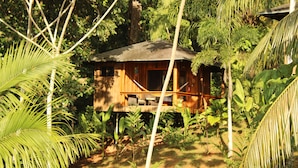 Una baita di legno immersa in una fitta vegetazione tropicale.