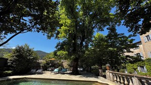 A courtyard with a swimming pool, stone benches, and a large tree.