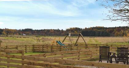 The Falcon - UK45538