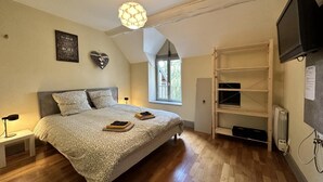 A bedroom with a large bed, a ceiling light, a TV, and a window. - Gite Climatisé les Lauriers (Essey)