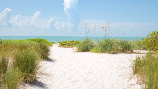 Ein sandiger Strandweg mit Gras an beiden Seiten und einem klaren, blauen Himmel.