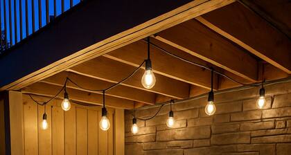 The Lakeside - Hot Tub, Dog Friendly, Trail Acces - Pontoon Rental - On Lake Winter