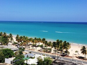 A beach view with palm trees, a road, and a clear blue sky.