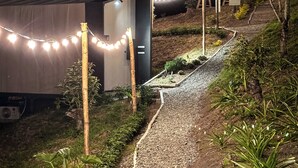 Un sendero lleva a un edificio con luces colgantes, rodeado de follaje y un camino de grava.