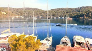 A marina with multiple sailboats docked, a small motorboat in the water, and a forested hillside in the background.