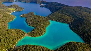 An aerial view of a coastal area with multiple inlets and a dense forest.