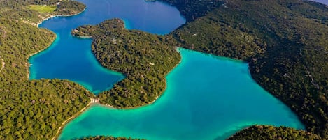 An aerial view of a coastal area with multiple inlets and a dense forest.