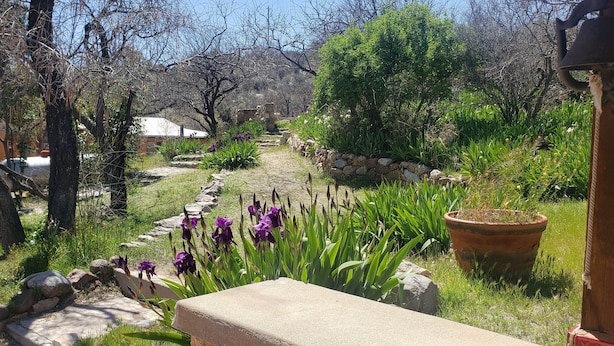 A garden pathway with stone borders, surrounded by various plants and trees. - Boutique Hillside Hotel with Breathtaking Vistas. BBQ, Hiking Trail & Dark Skies (Oracle)