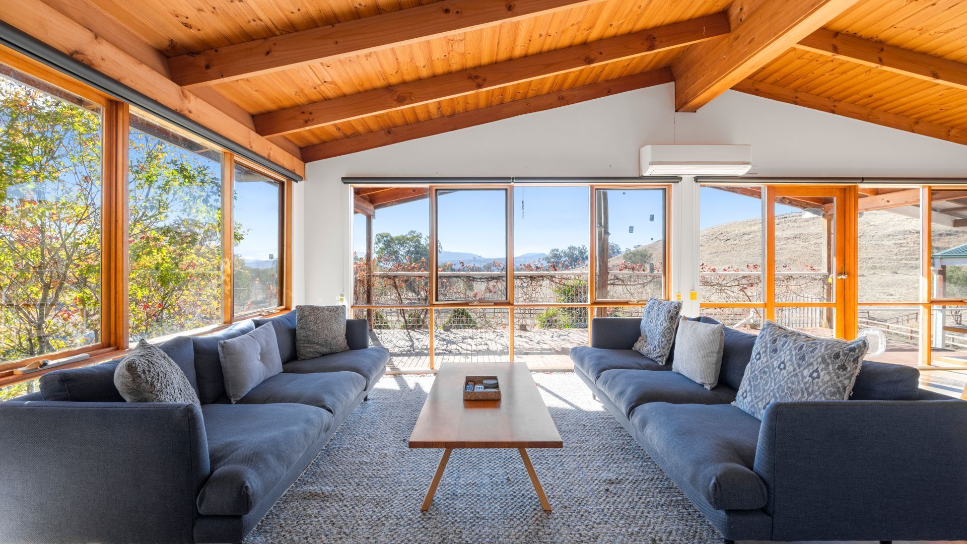 Smart-tv, pejs, bøger