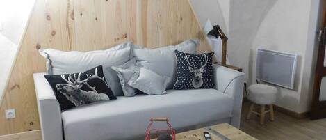 智能電視、書籍