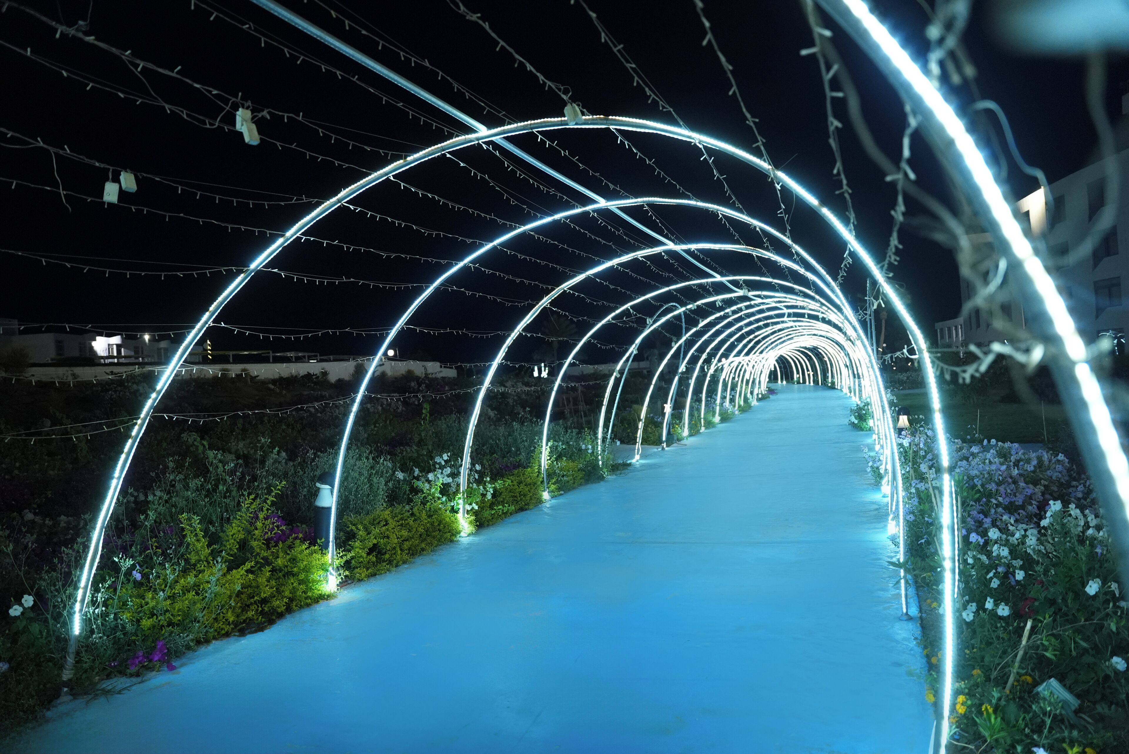 Photo - Amarina Star Resort & Aqua Park Sharm El-Skeikh