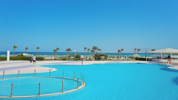 Una piscina amplia y despejada con borde curvo, rodeada de palmeras y vista a la playa.