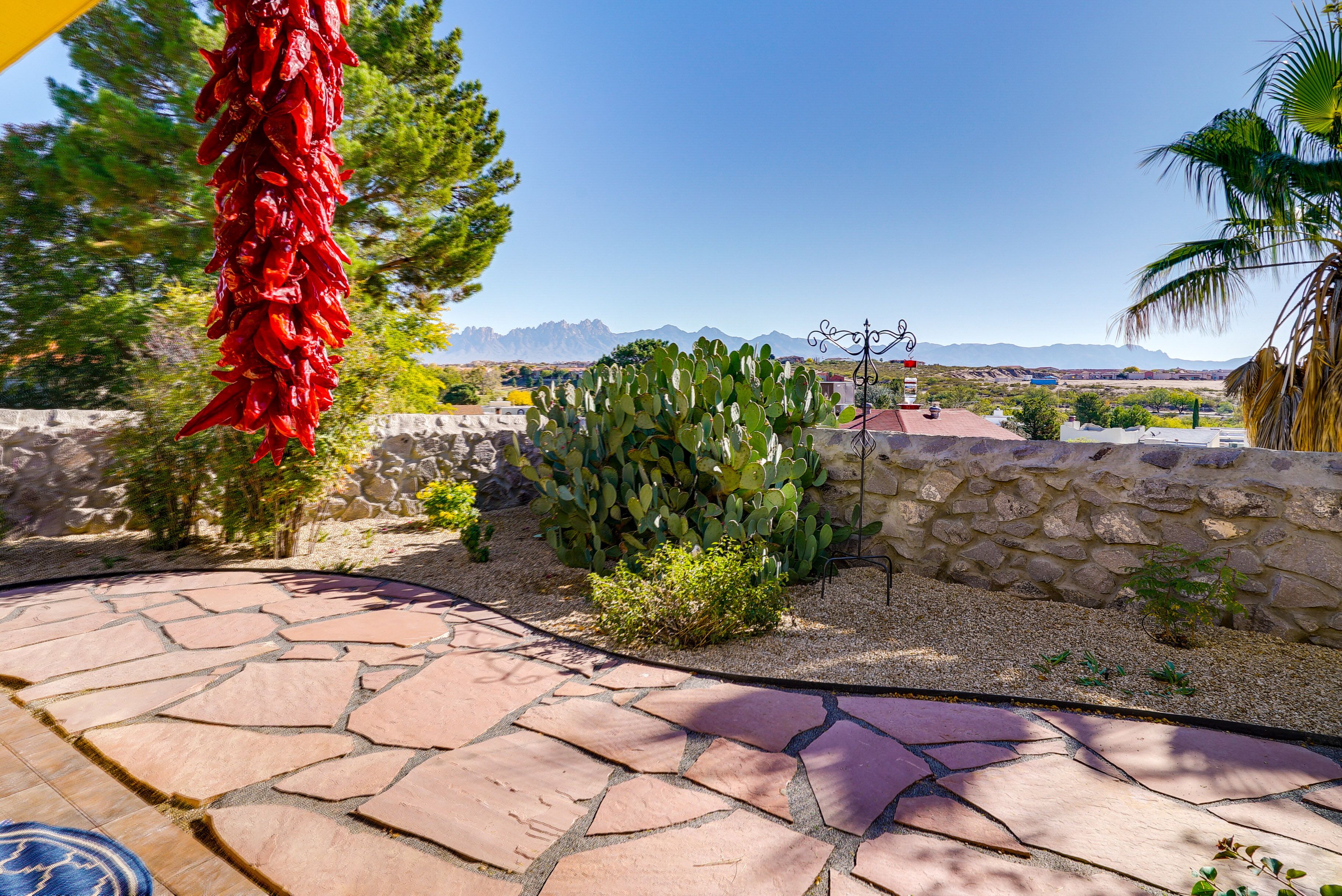 A patio with a cactus, a stone wall, and a view of mountains.