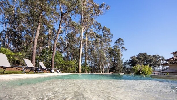 Una piscina cristalina rodeada de sillas de descanso y altos árboles.
