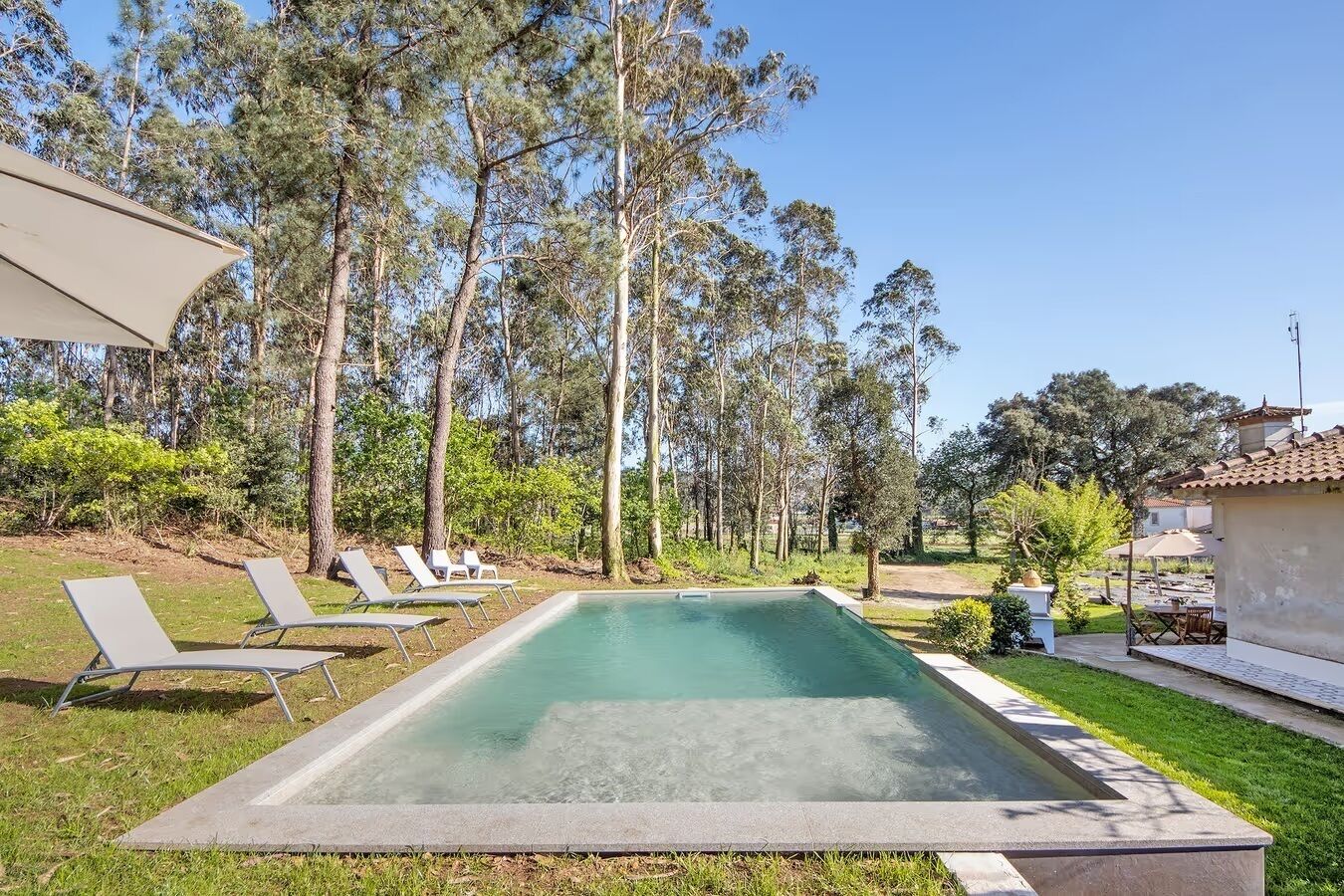 A rectangular swimming pool with a concrete edge, surrounded by grass and trees.