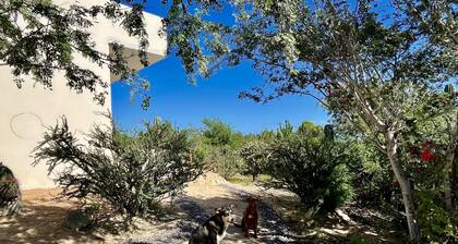 Eco living 2 bd oasis with ocean view Casa Milpa