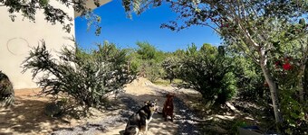 Eco living 2 bd oasis with ocean view Casa Milpa