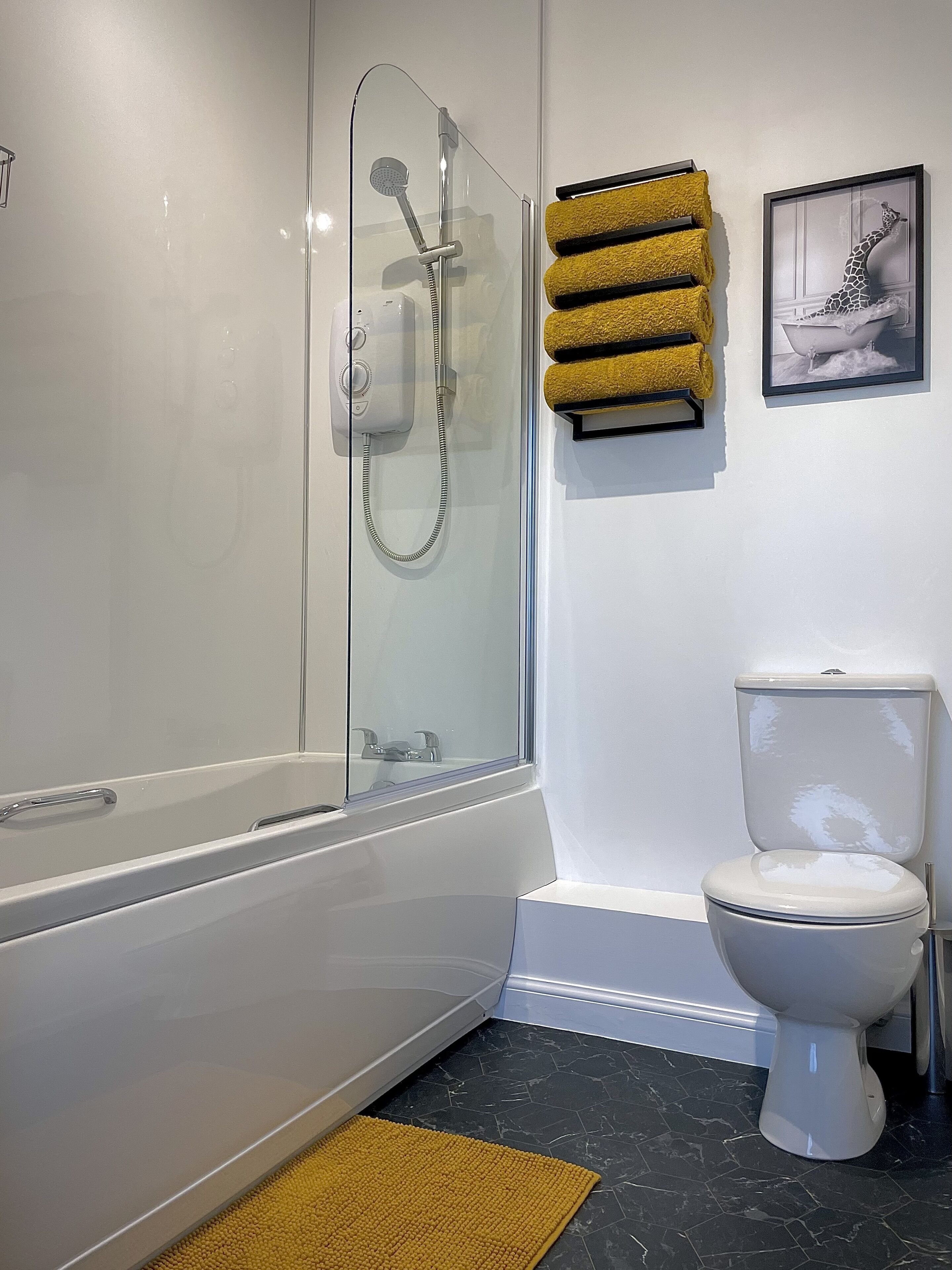 Hair dryer, towels, toilet paper