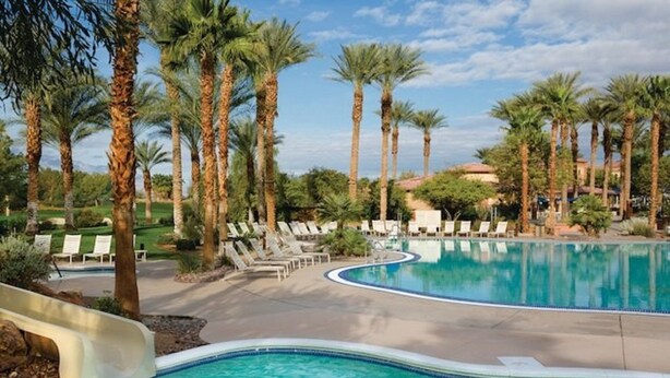 A resort pool area with palm trees, lounge chairs, and a clear blue pool.