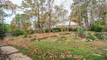 Área da propriedade