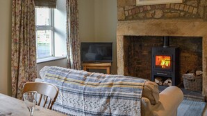 A cozy living room with a stone fireplace, a television on a wooden stand, and a window with curtains. - 1 bedroom accommodation in Lesbury Near Alnwick (Lesbury Near Alnwick)