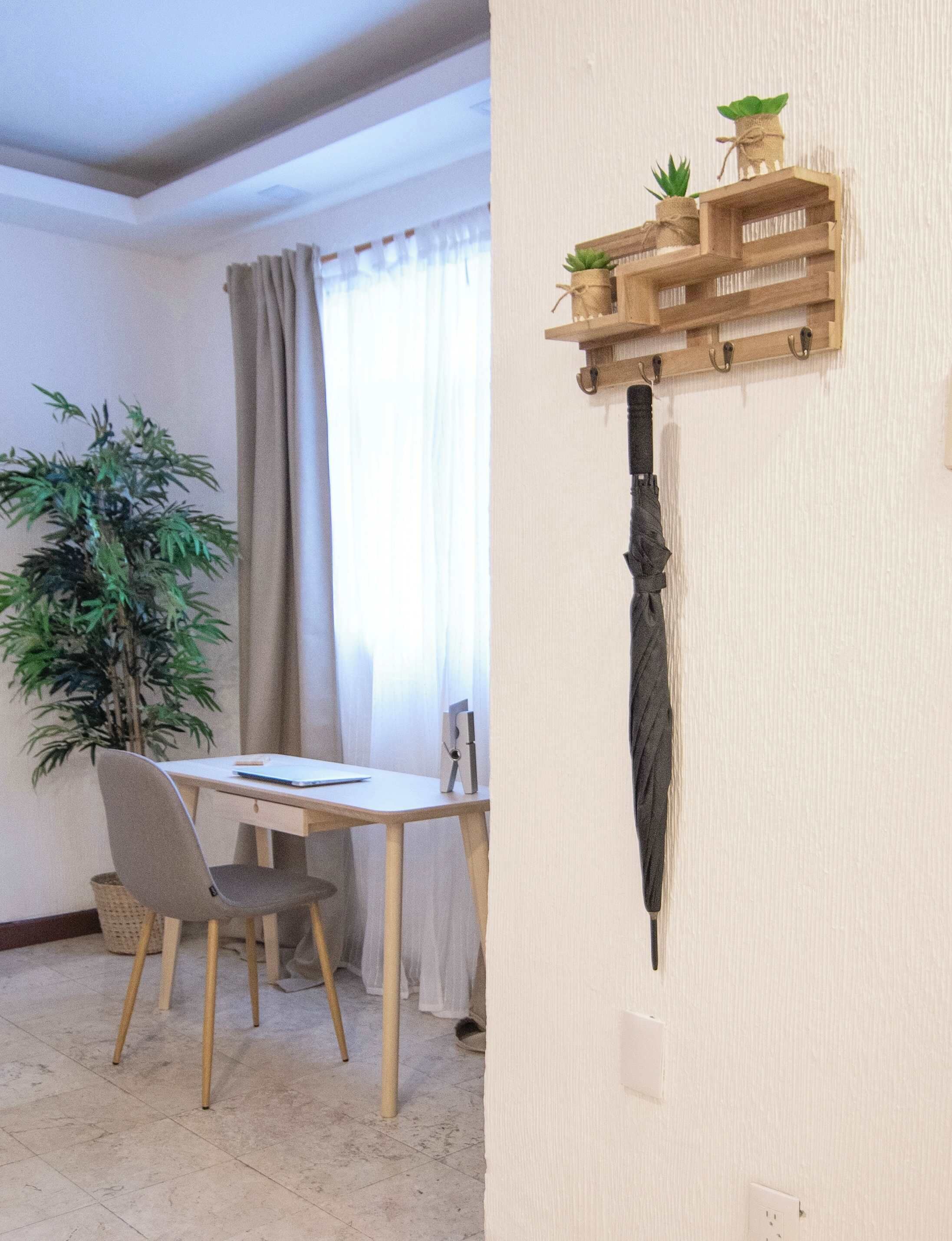A room with a dining table, chairs, a potted plant, and a wall-mounted shelf with plants.