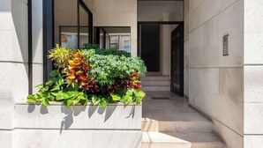 A modern building entrance with a concrete staircase leading to a door, surrounded by a planter with various plants.