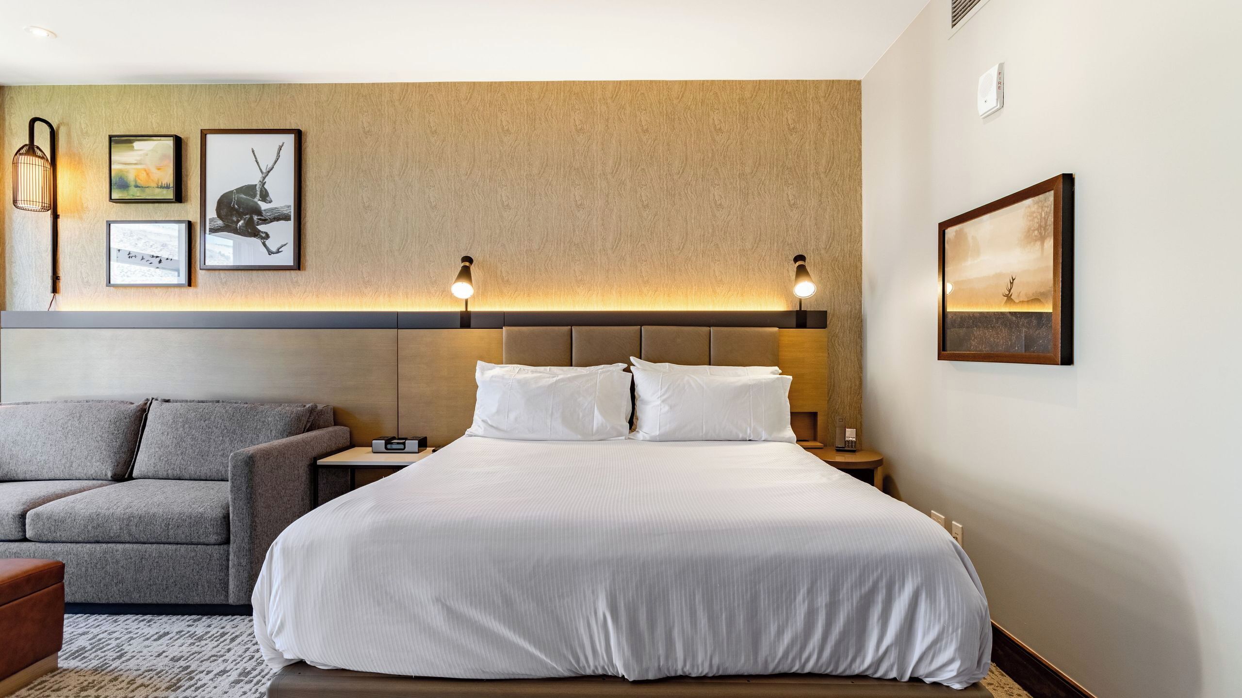 A hotel room with a bed, a sofa, a nightstand, and wall-mounted artwork.
