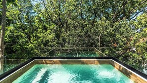 An outdoor swimming pool surrounded by dense foliage. - Stunning modern villa with pool & beach access (Playa del Carmen)