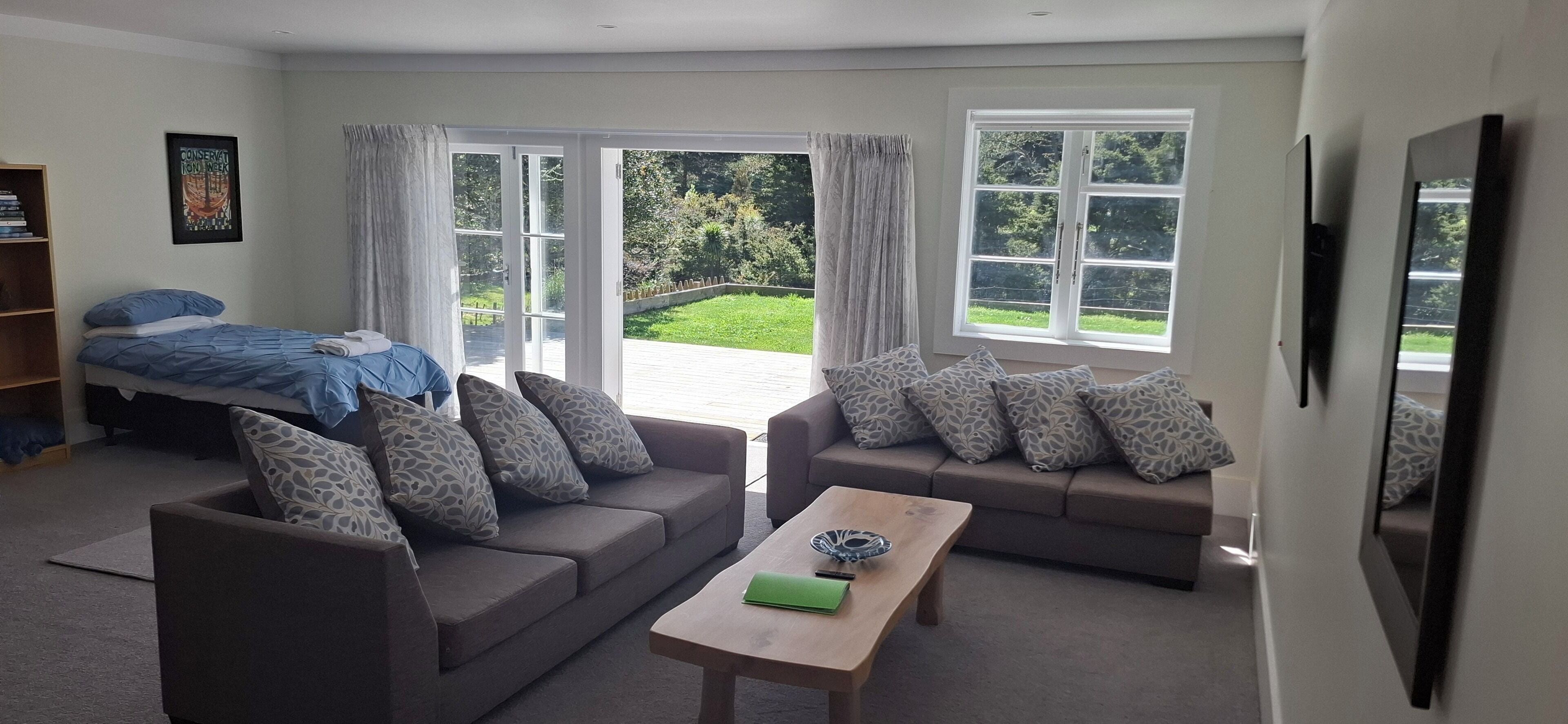 Televisor intel·ligent i llibres 